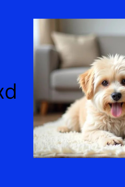 A Complete Guide to Understanding Puppygirlxd