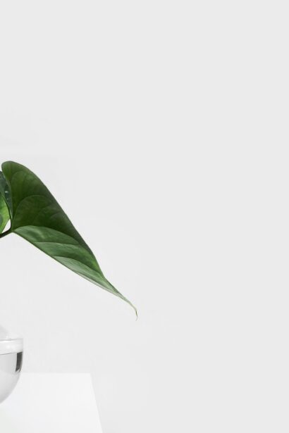 A Comprehensive Guide to Understanding simpcitu in Design