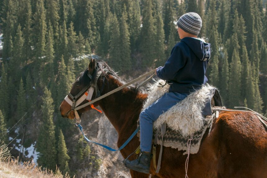 When Do the Equestrian Paralympics 2024 Take Place?
