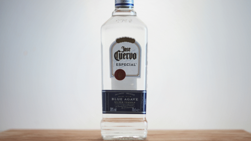 A Comprehensive Guide to Camdin Cuervo: What You Need to Know