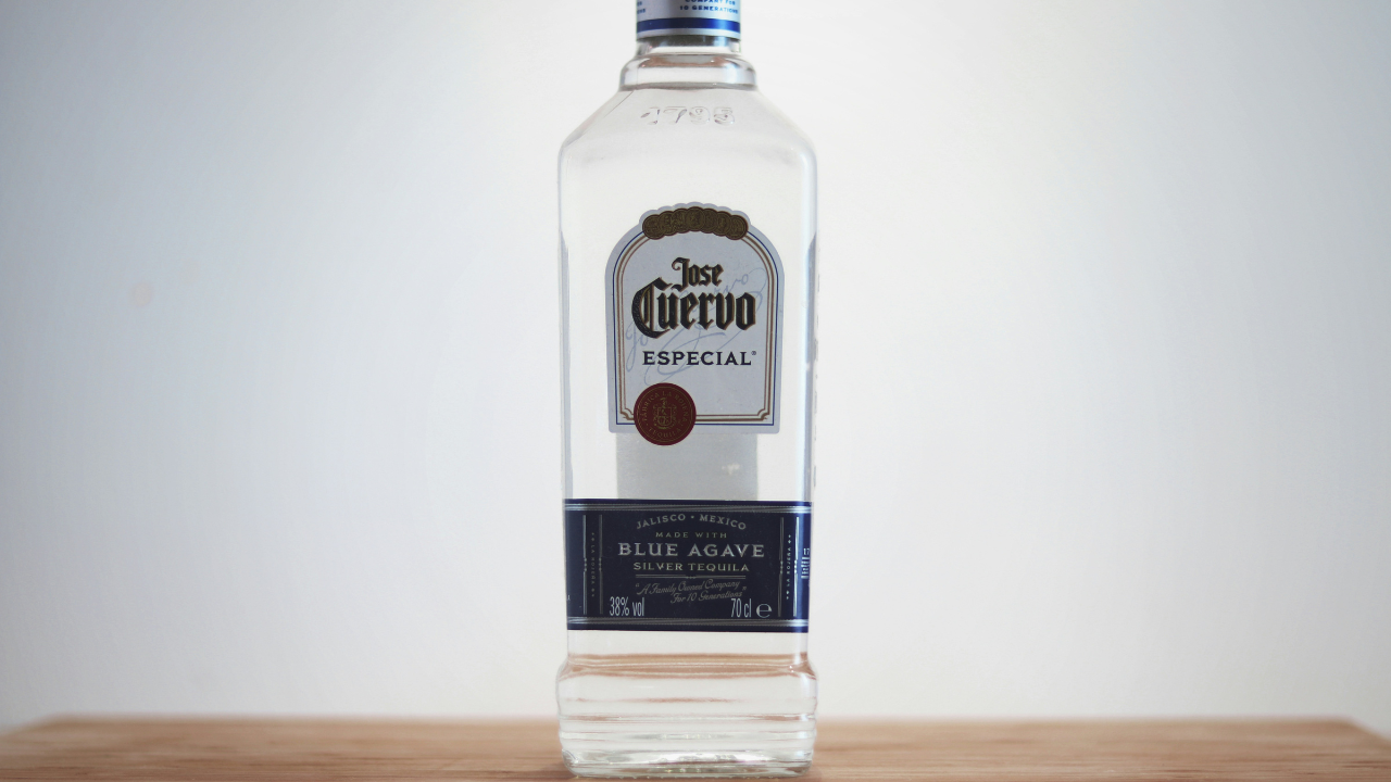 A Comprehensive Guide to Camdin Cuervo: What You Need to Know